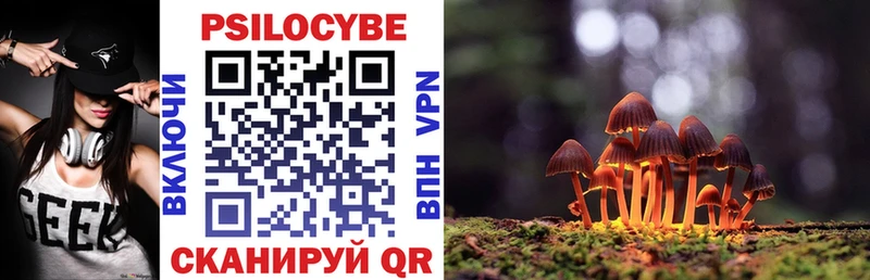 Галлюциногенные грибы Psilocybe  Талица 